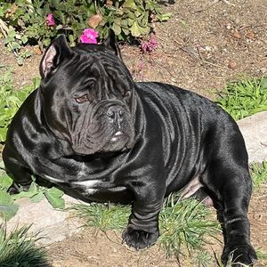 Meet your Posher, Lonnie